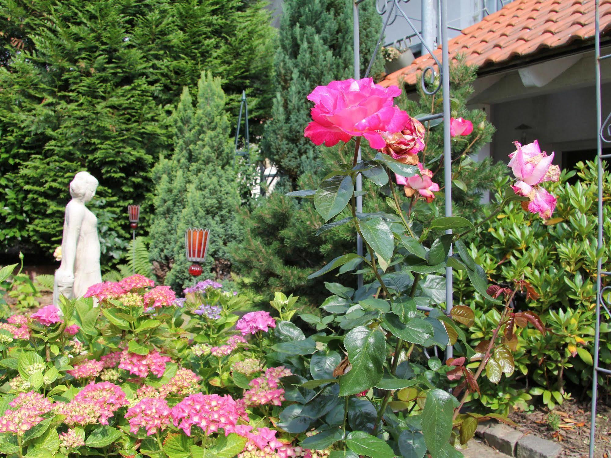 No.31 B&B im Rosengarten Kapellen-Drusweiler Exterior foto